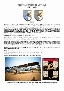 610 LES INSIGNES DE L ALAT EN AFN PAR CHRISTIAN MALCROS_000030